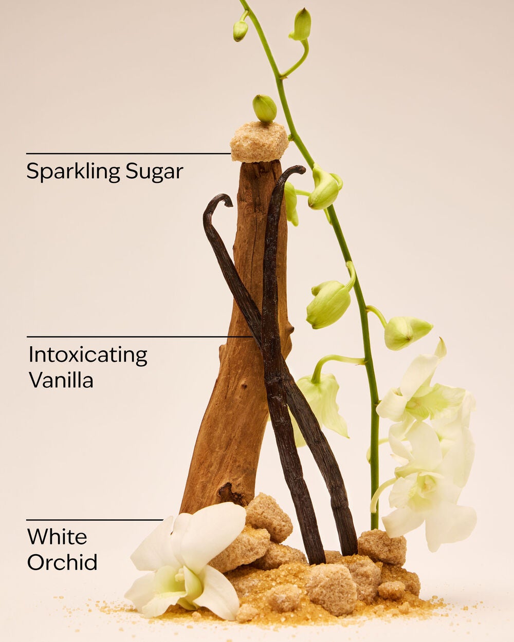 Warm Vanilla Sugar Gift Set - Image 3