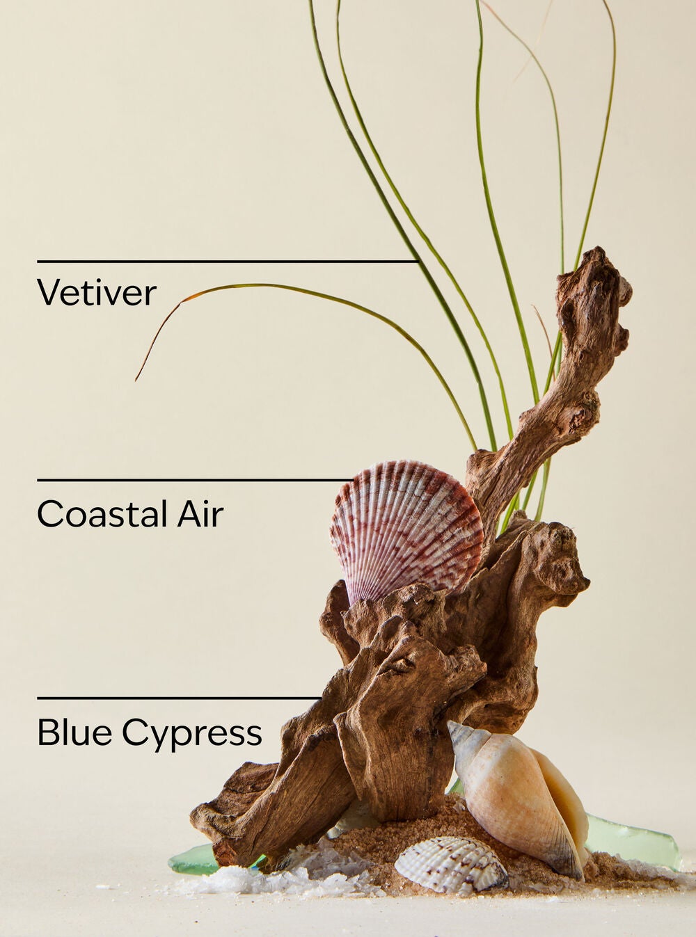 Ocean Mini Gift Box Set - Image 3