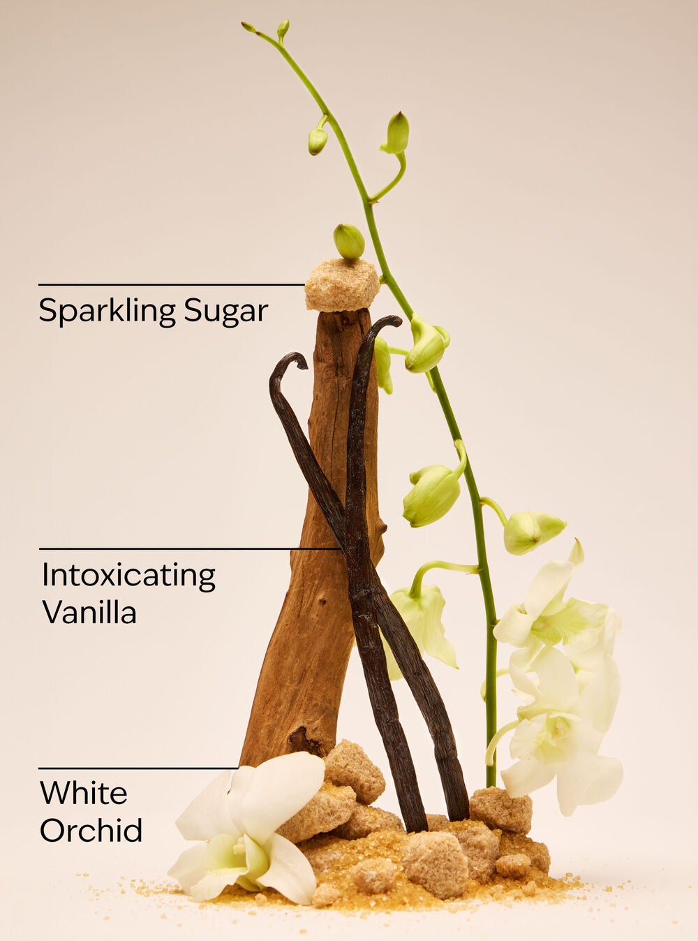 Warm Vanilla Sugar Mini Gift Set - Image 3