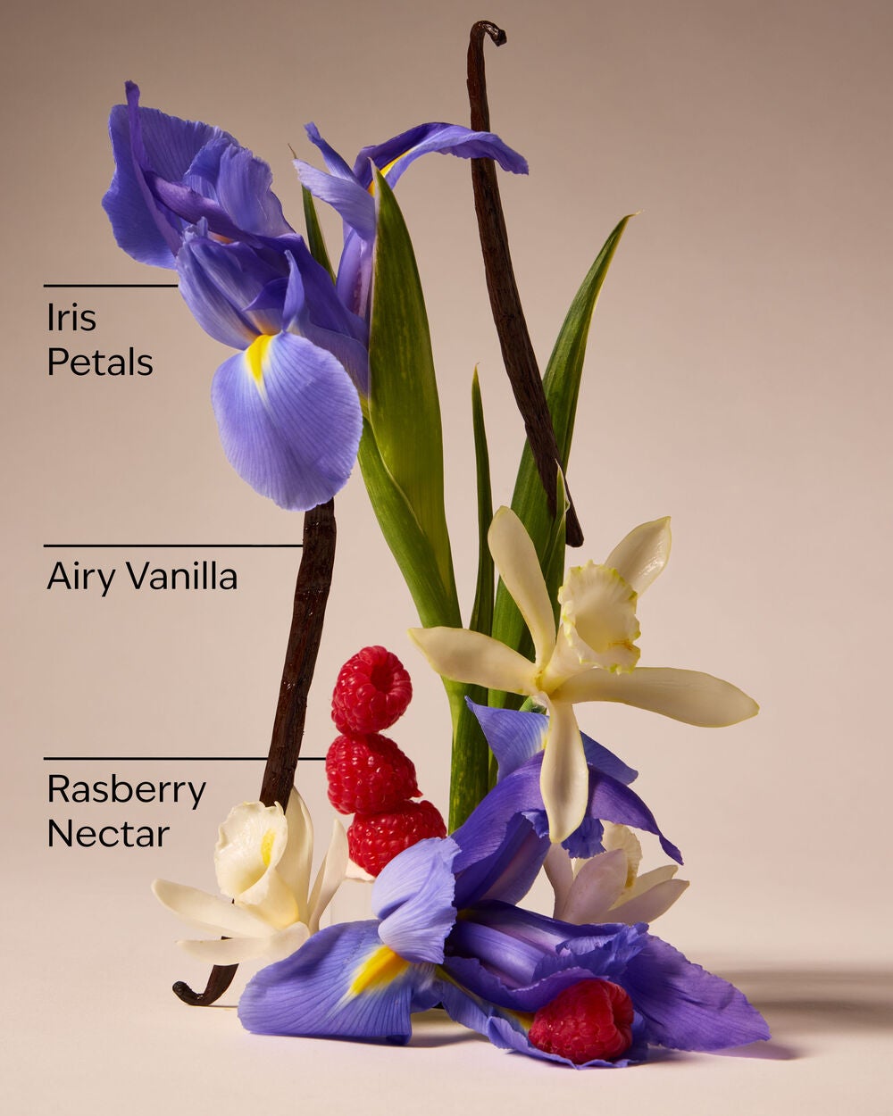 Butterfly Gift Set - Image 3