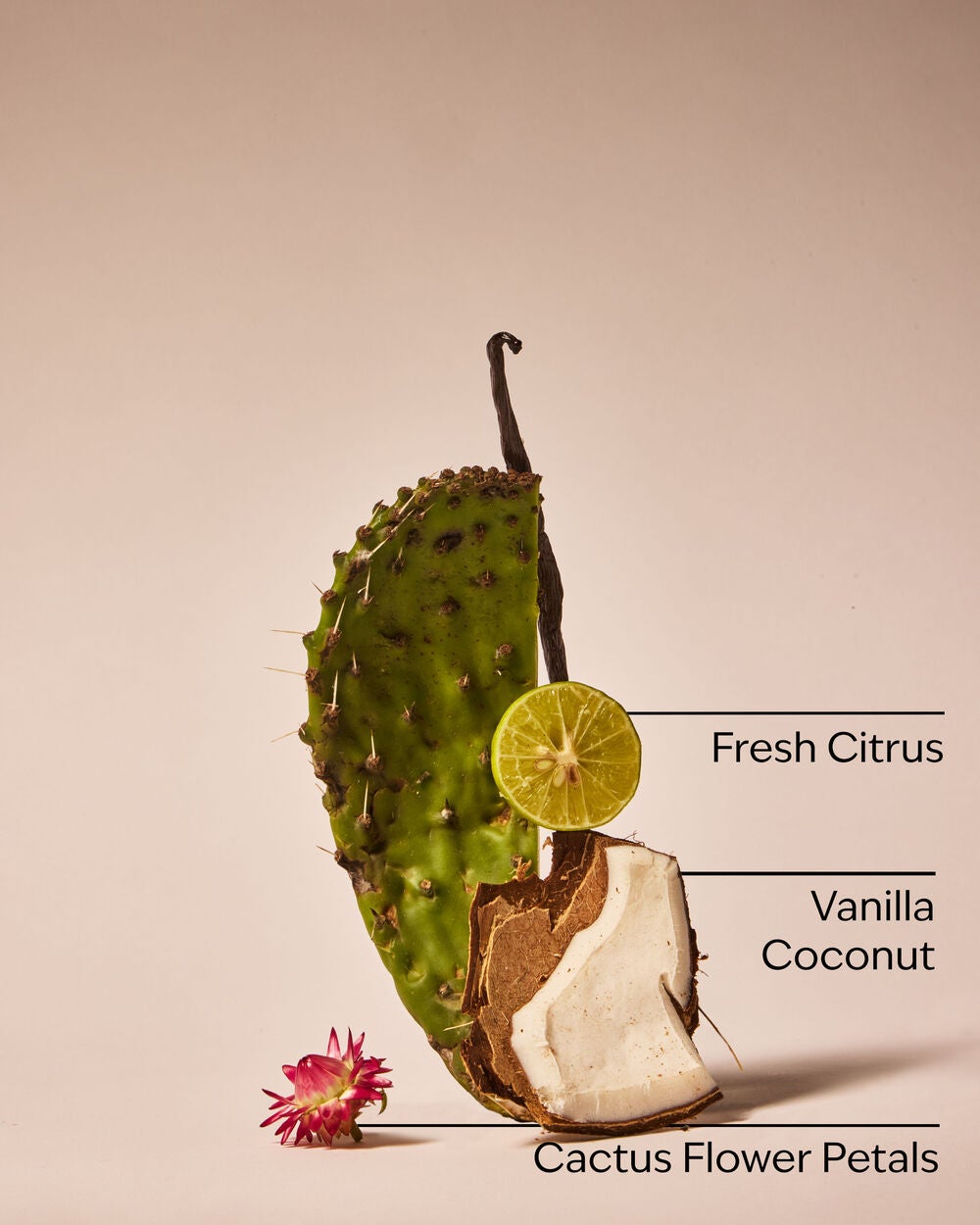 Cactus Blossom Laundry Detergent - Image 3