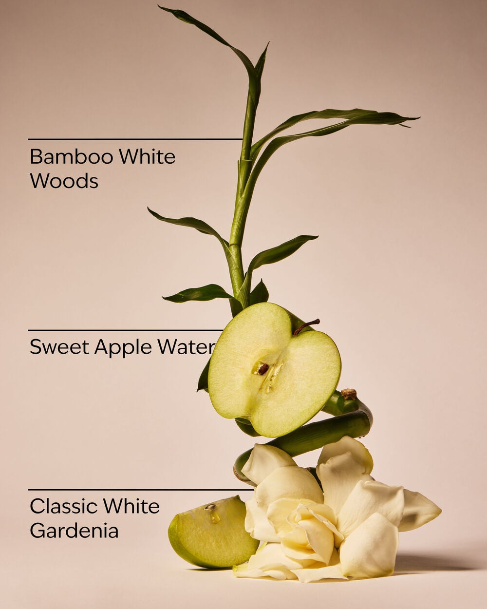 Rainforest Gardenia Wallflowers Refills 2-Pack - Image 3