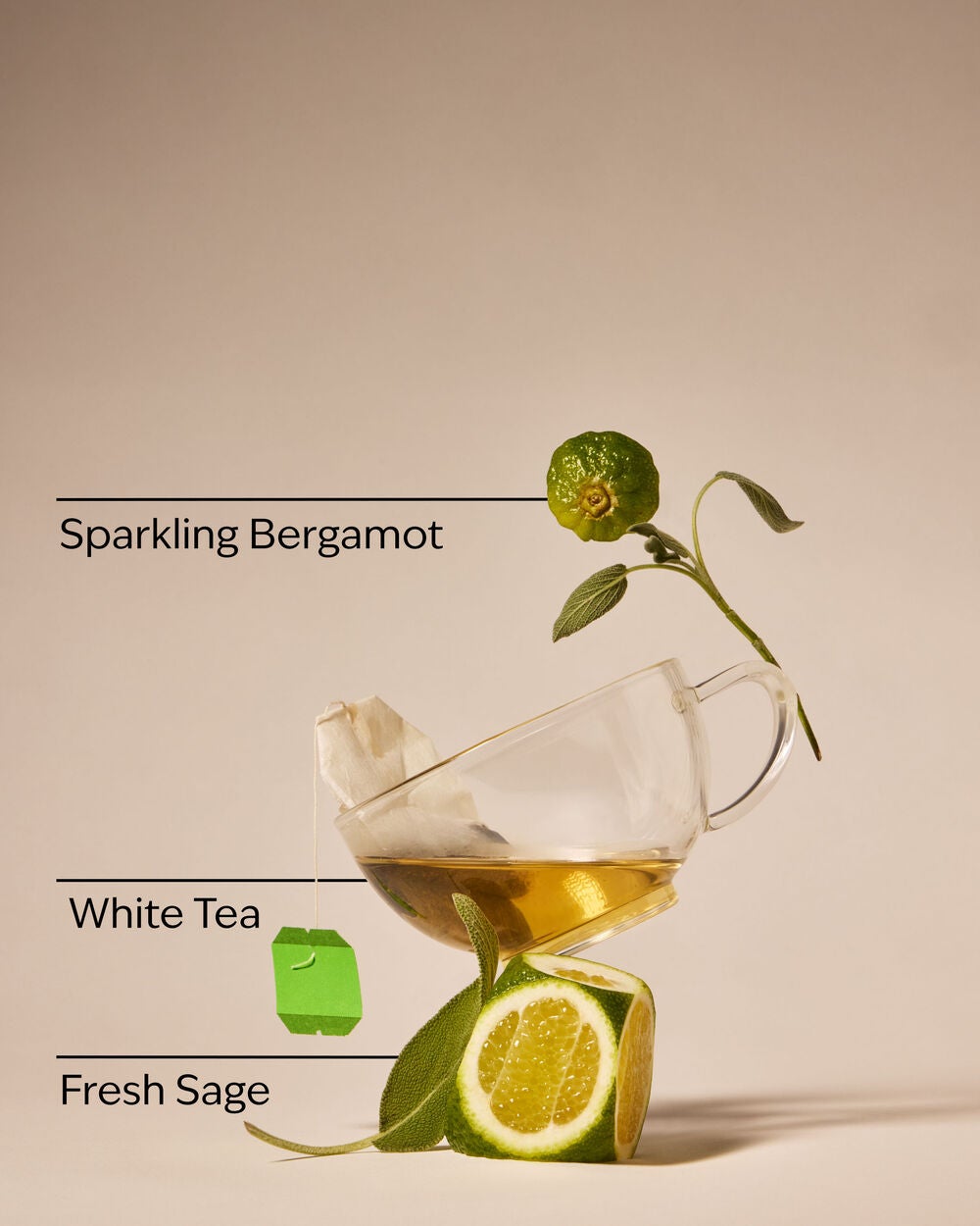 White Tea & Sage Wallflowers Refills 2-Pack - Image 3