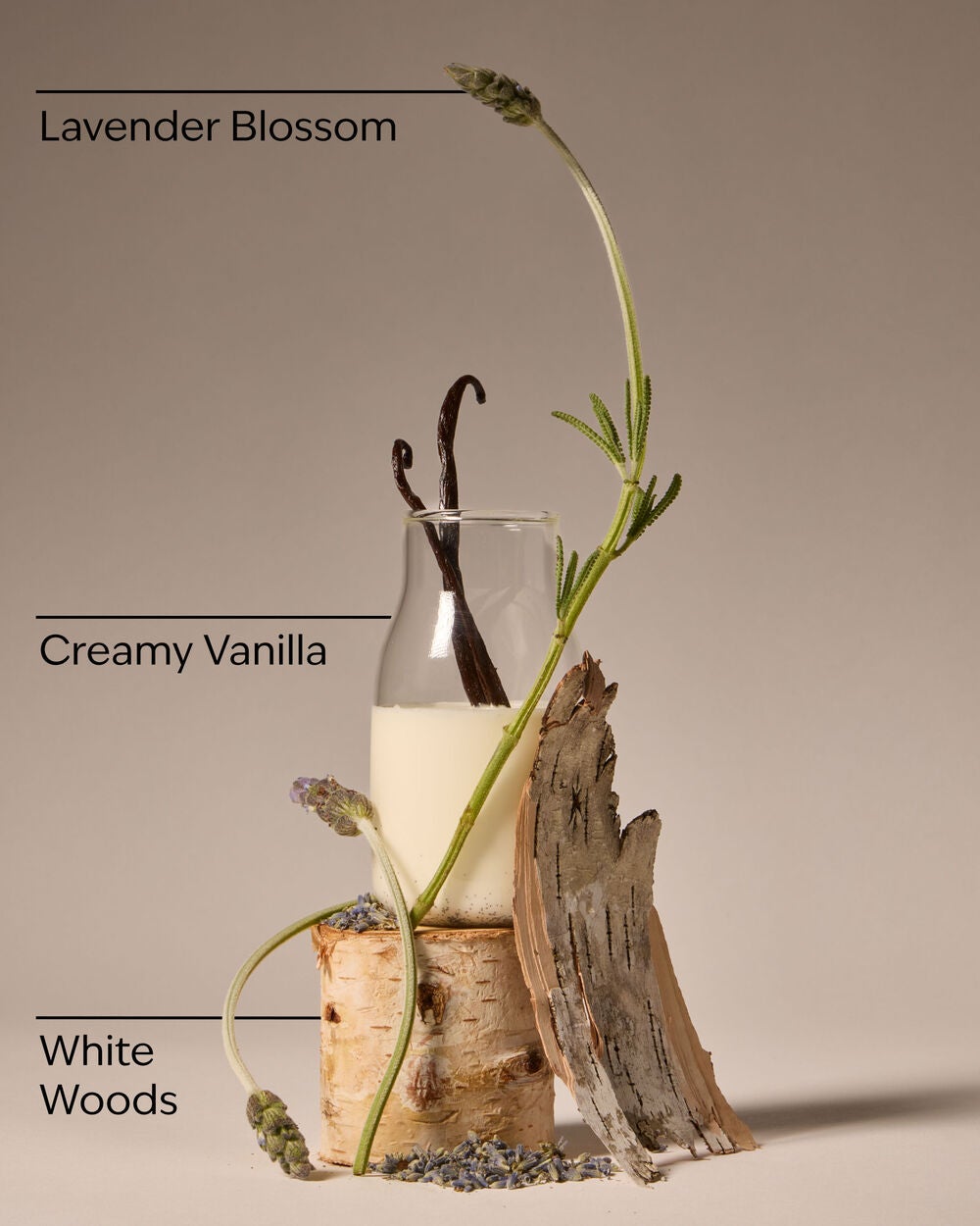 Lavender Vanilla Wallflowers Refills 2-Pack - Image 3