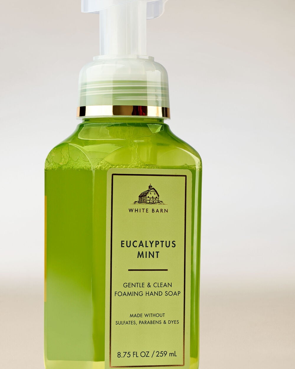 Eucalyptus Mint Gentle & Clean Foaming Hand Soap - Image 2