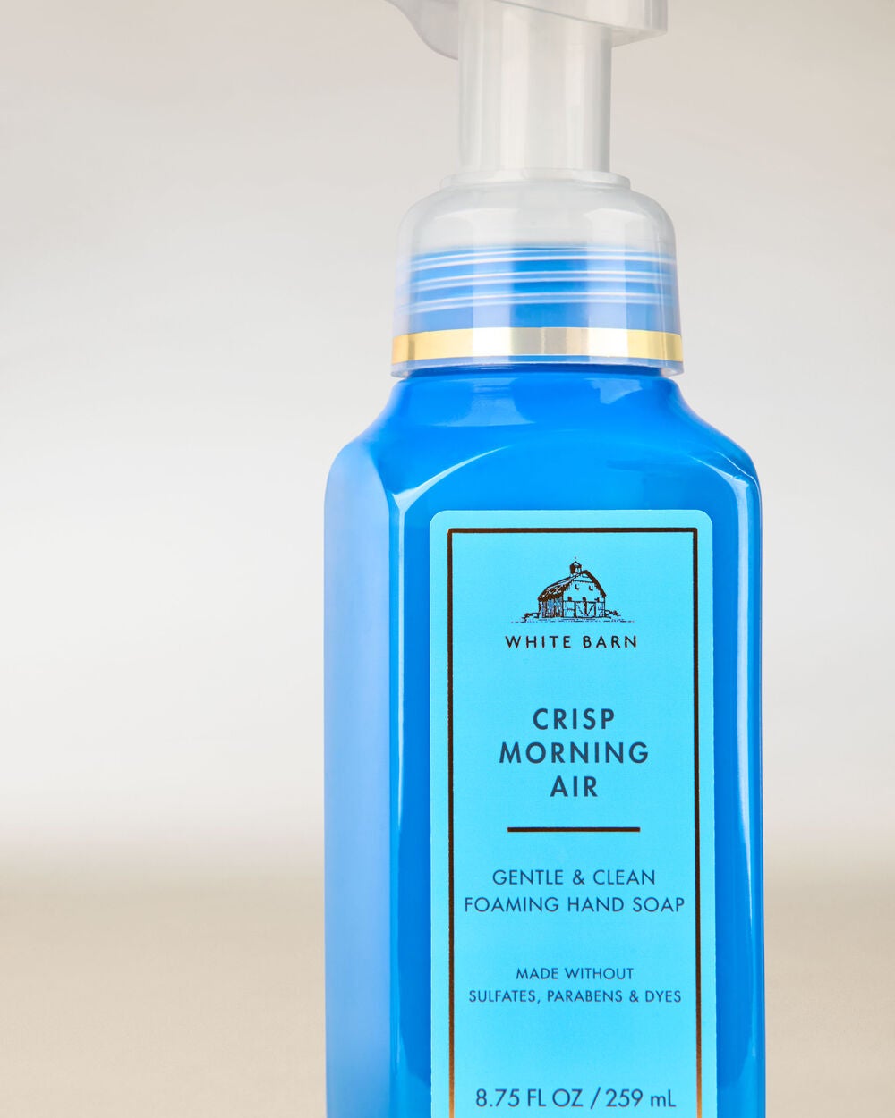 Crisp Morning Air Gentle & Clean Foaming Hand Soap - Image 2