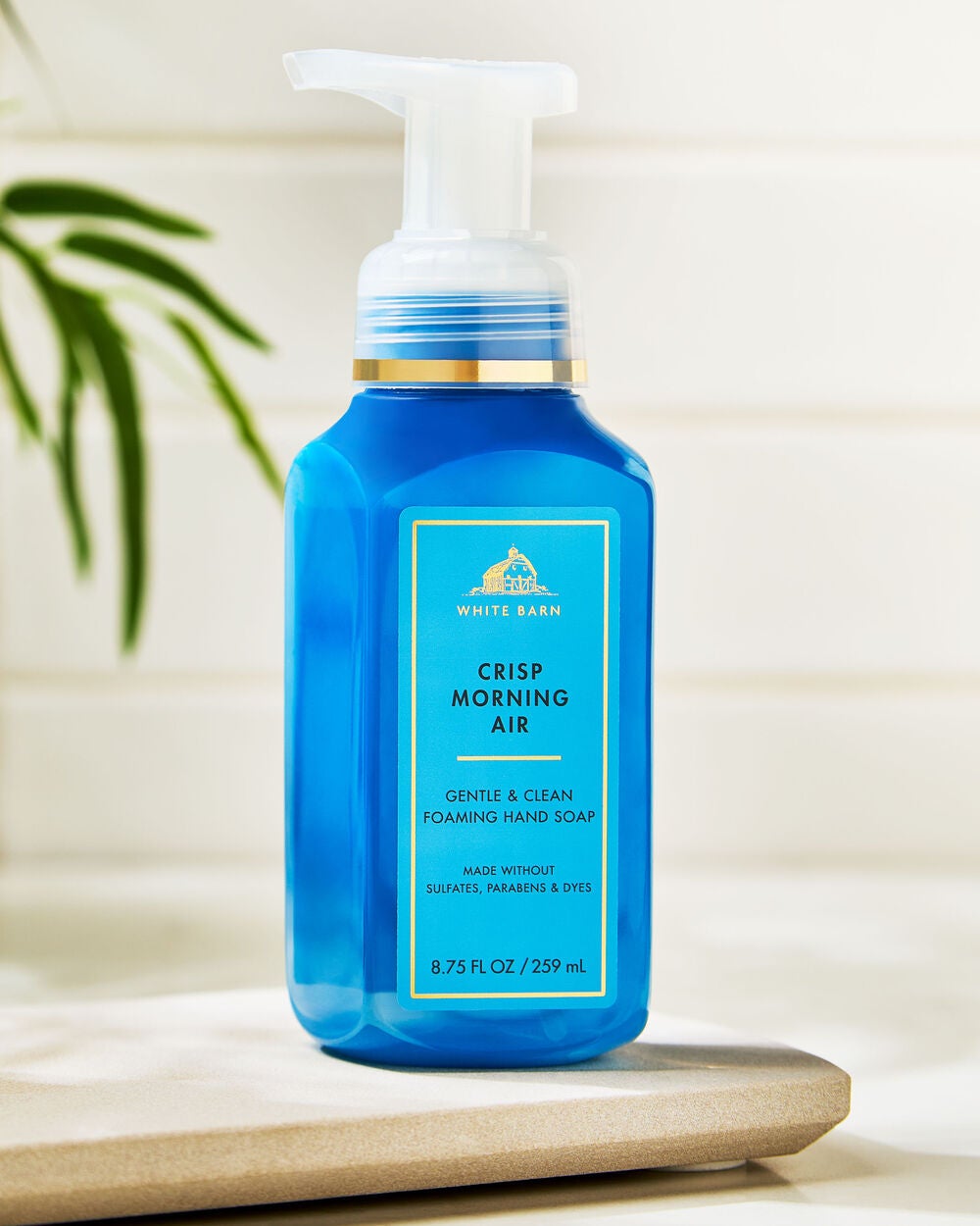 Crisp Morning Air Gentle & Clean Foaming Hand Soap - Image 7