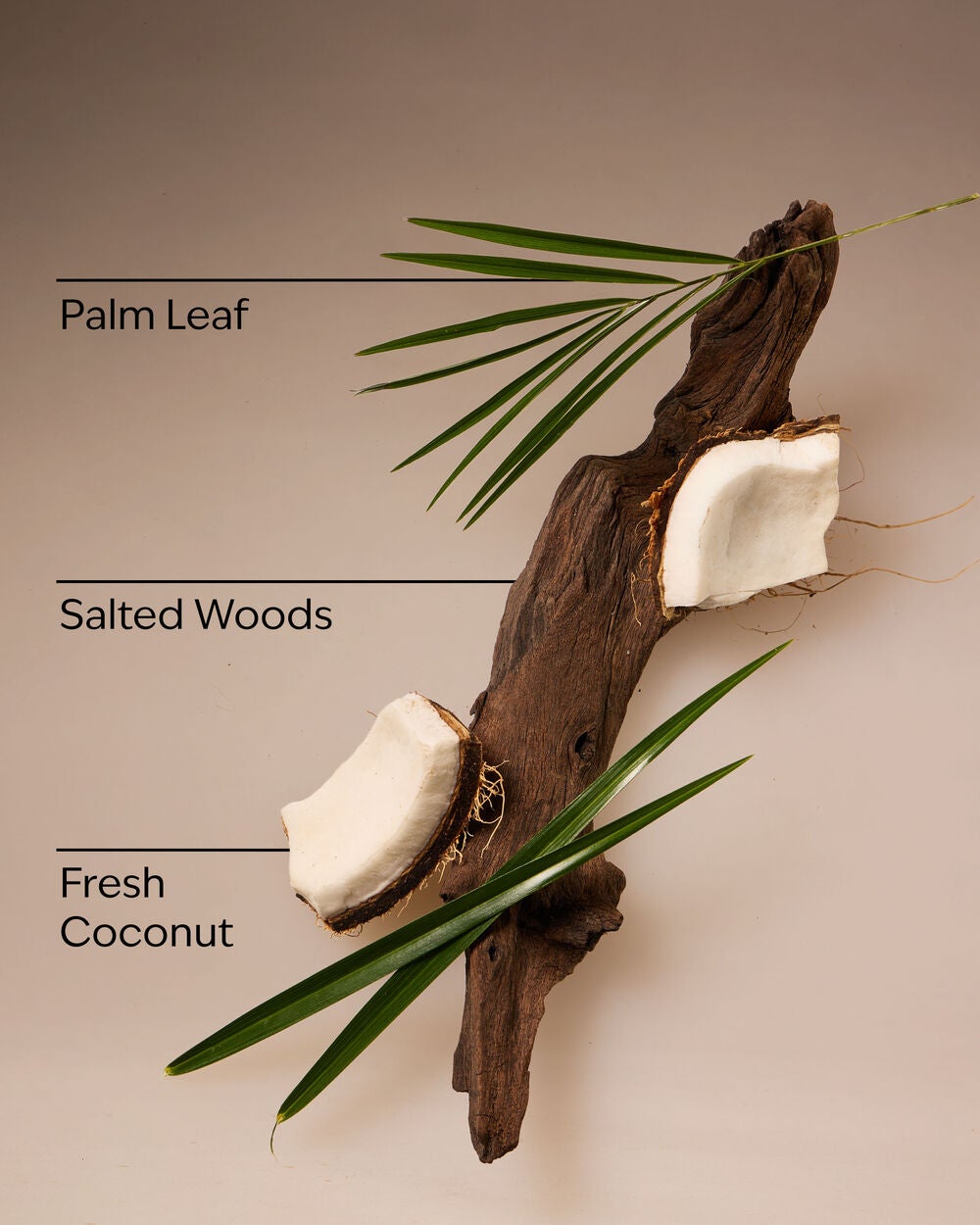 Coconut Nectar Travel Size Fine Fragrance Mist - Image 3