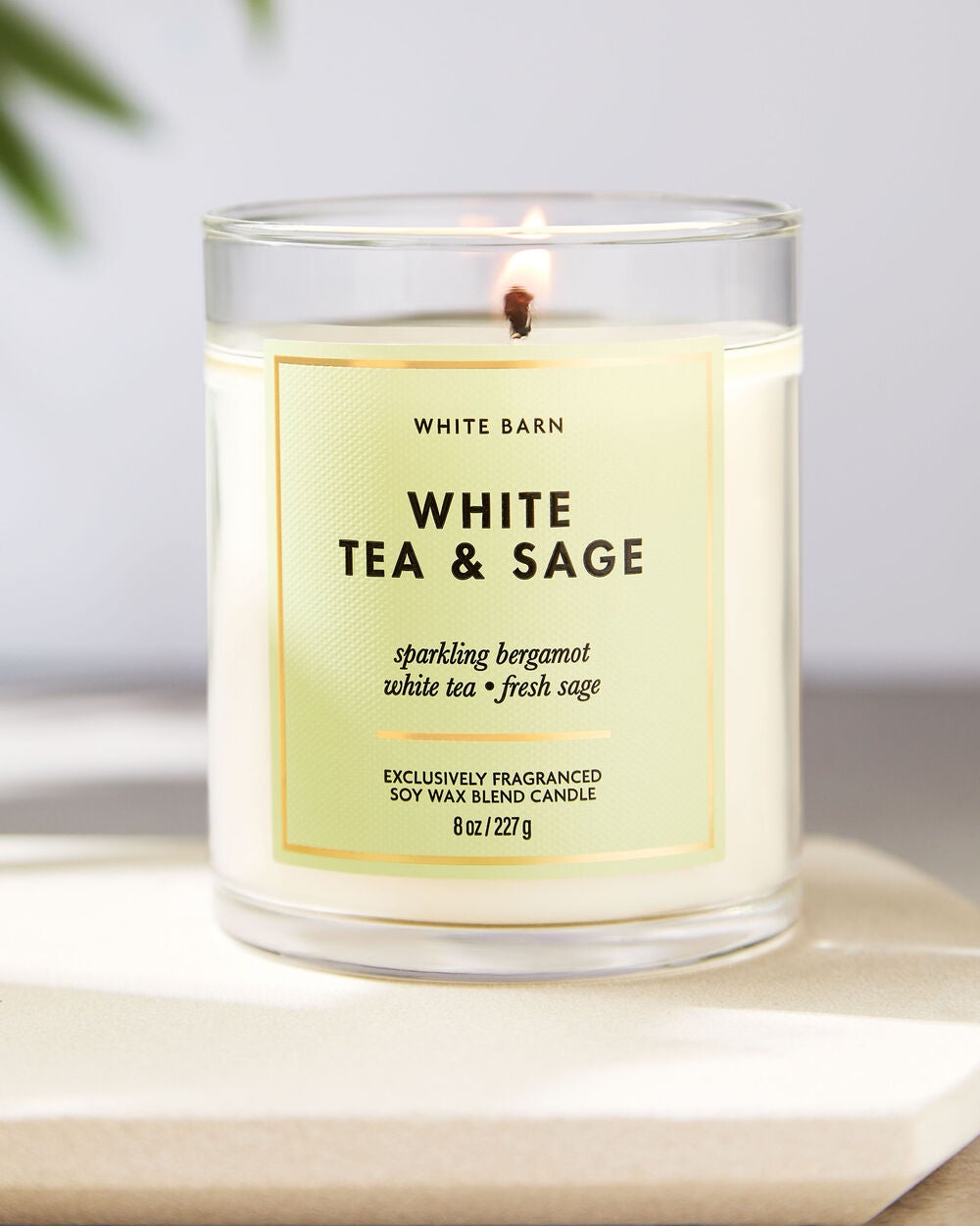 White Tea & Sage Single Wick Candle - Image 6
