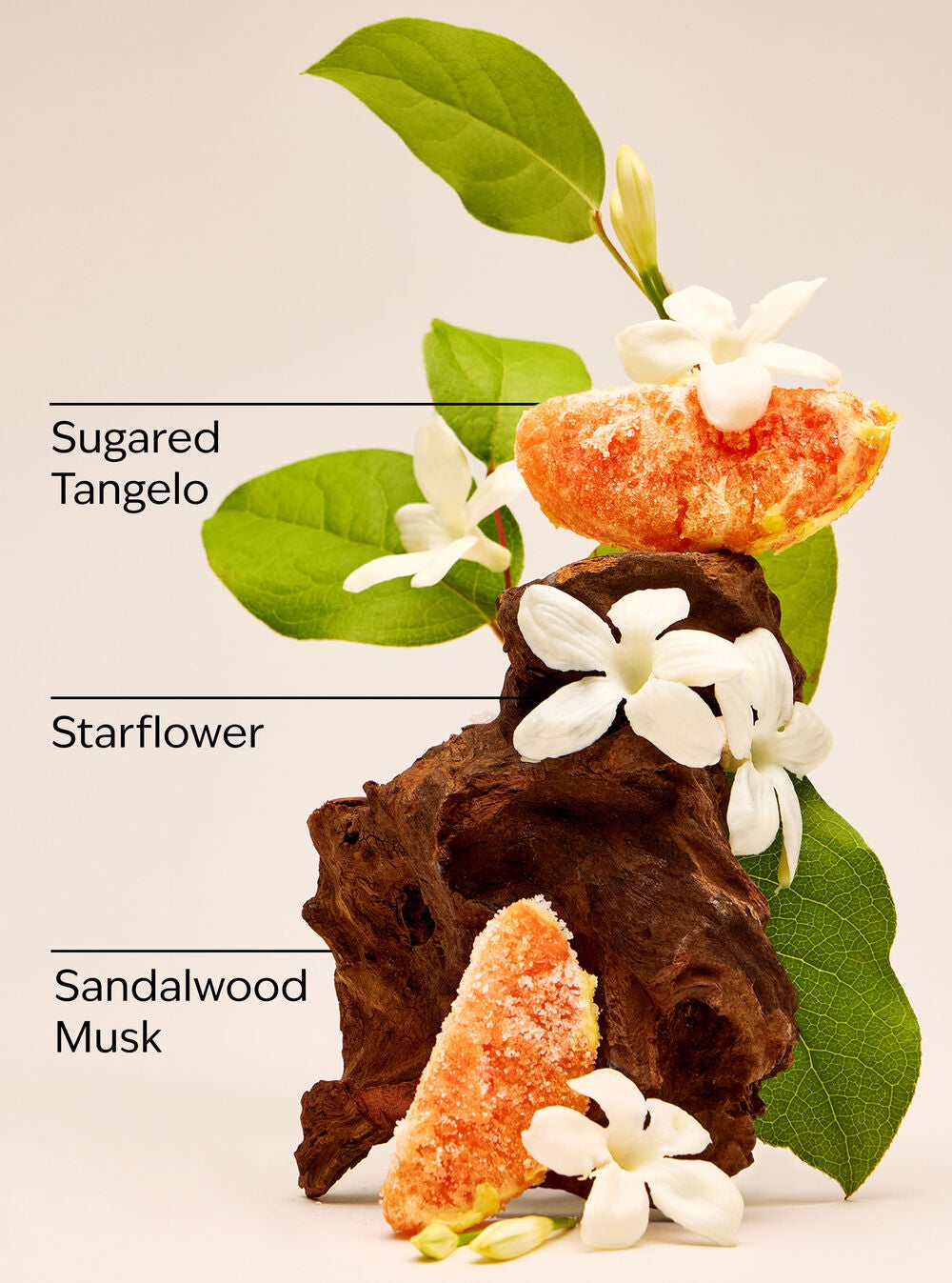 In the Stars Wallflowers Fragrance Refill - Image 3