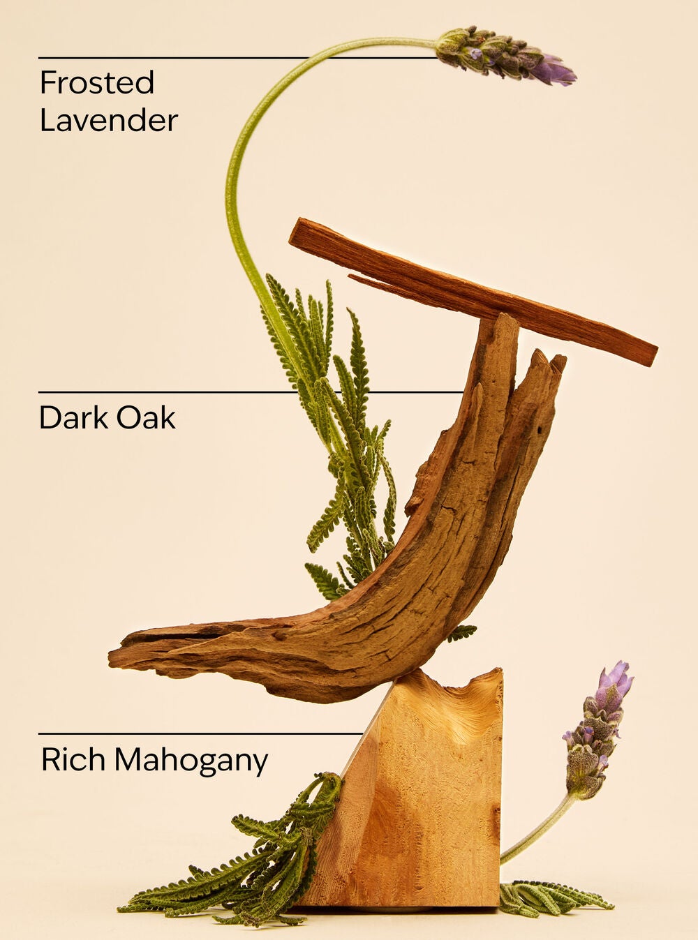 Mahogany Teakwood Wallflowers Fragrance Refill - Image 3
