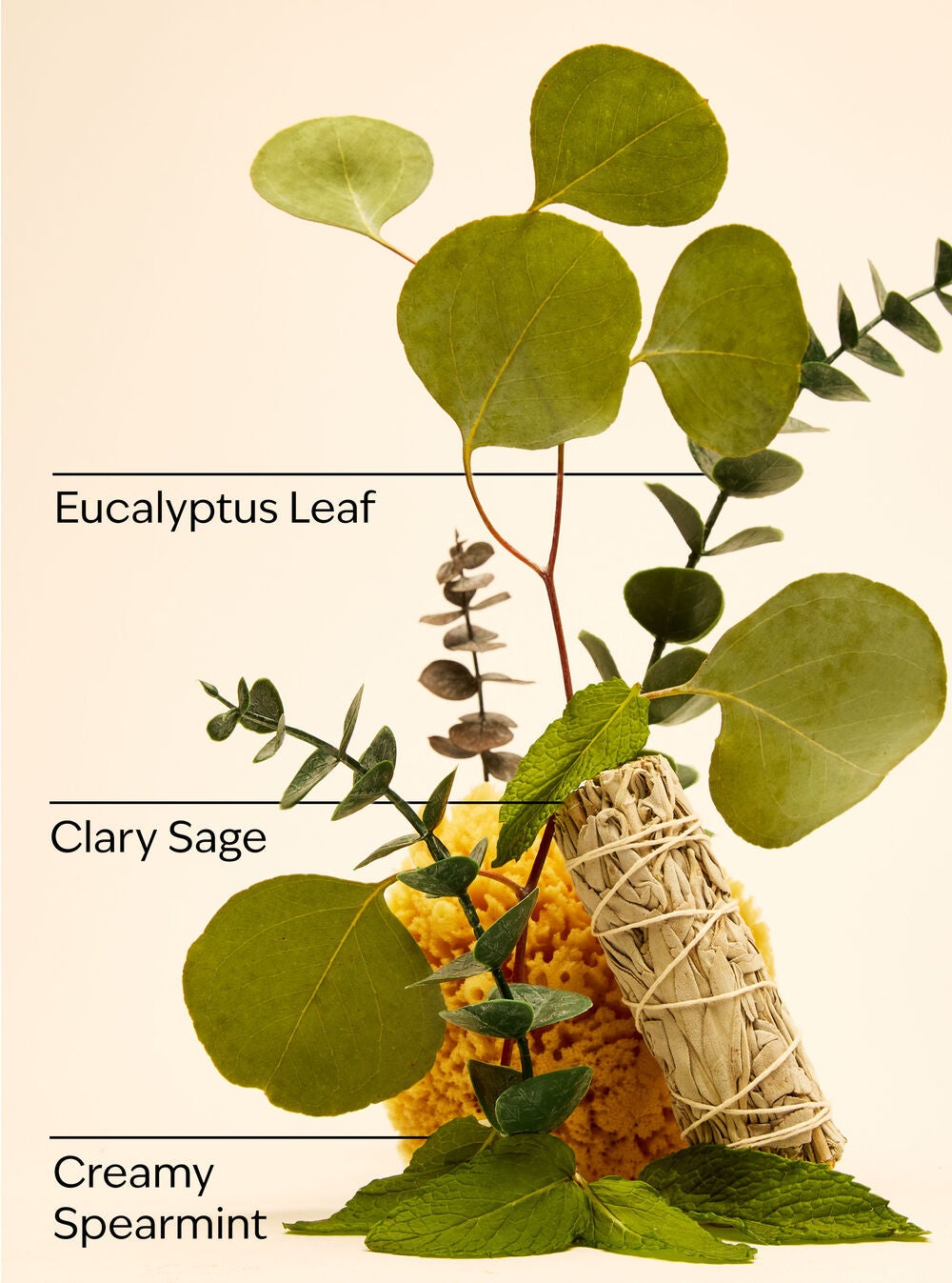 Eucalyptus Mint Gentle & Clean Foaming Refill - Image 3