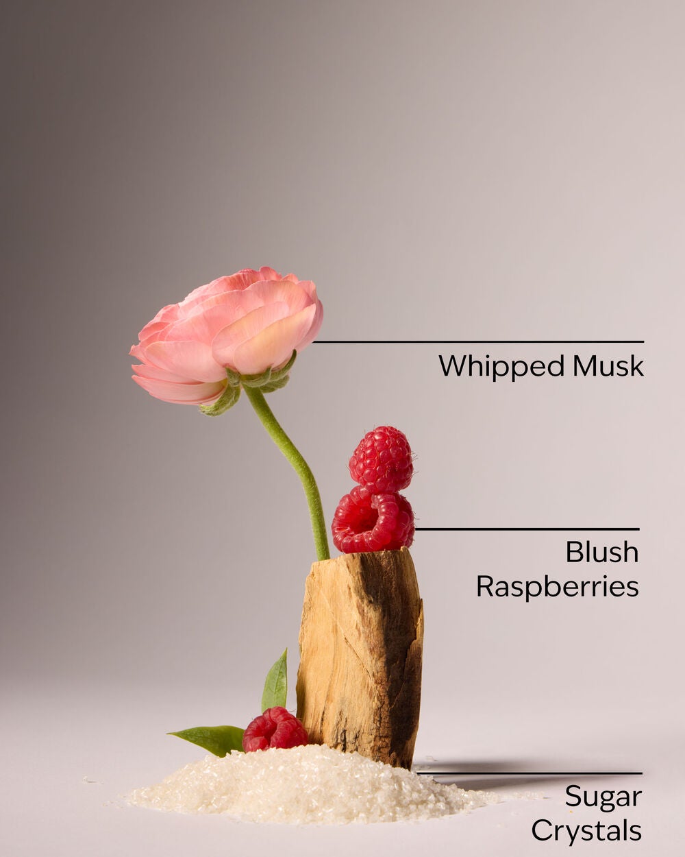 Sweetest Song Eau De Parfum - Image 3