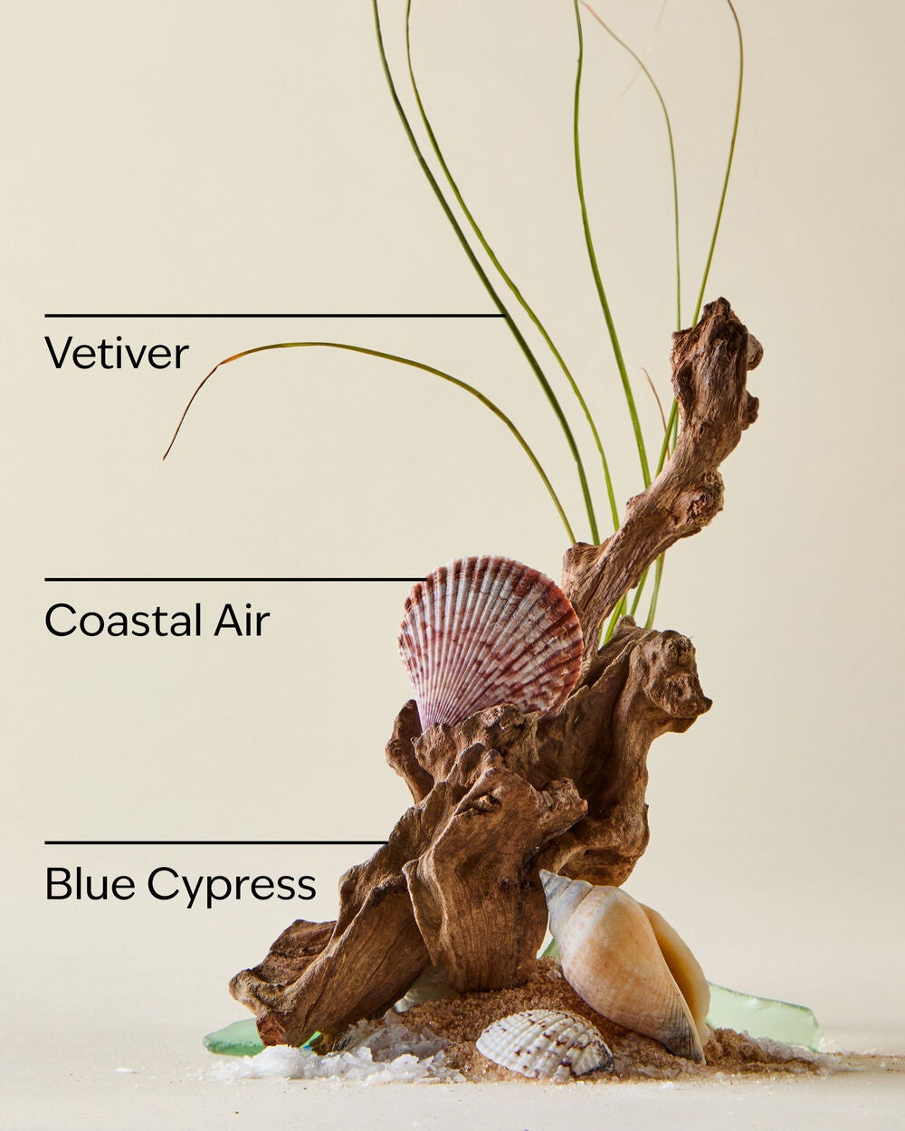 Ocean 3-in-1 Hair, Face & Body Wash - Image 3