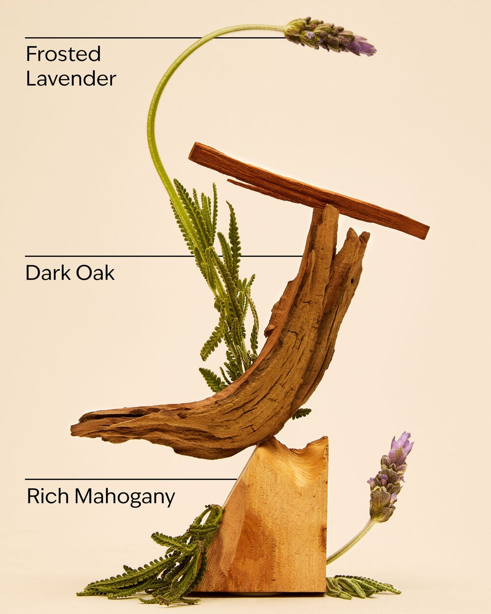 Mahogany Teakwood Mini Cologne - Image 3