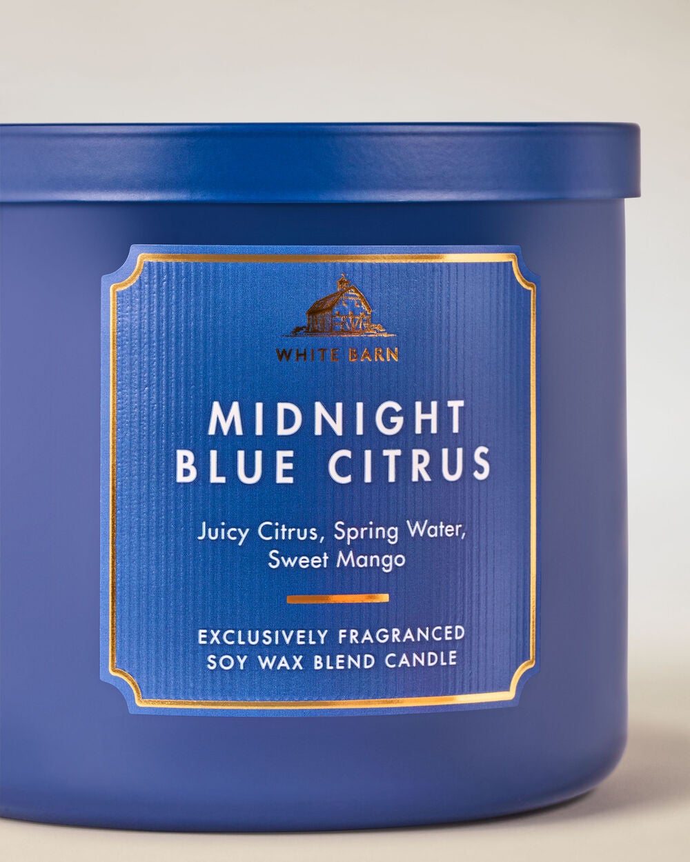 Midnight Blue Citrus 3-Wick Candle - Image 2