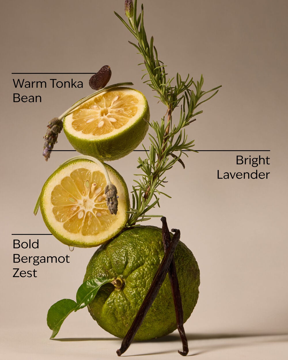 Lavender Bergamot 3-Wick Candle - Image 3
