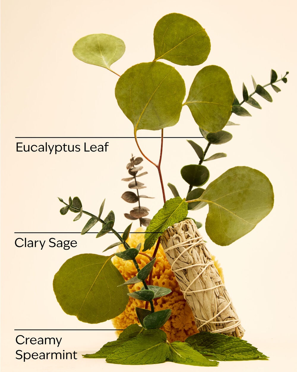 Eucalyptus Mint 3-Wick Candle - Image 3