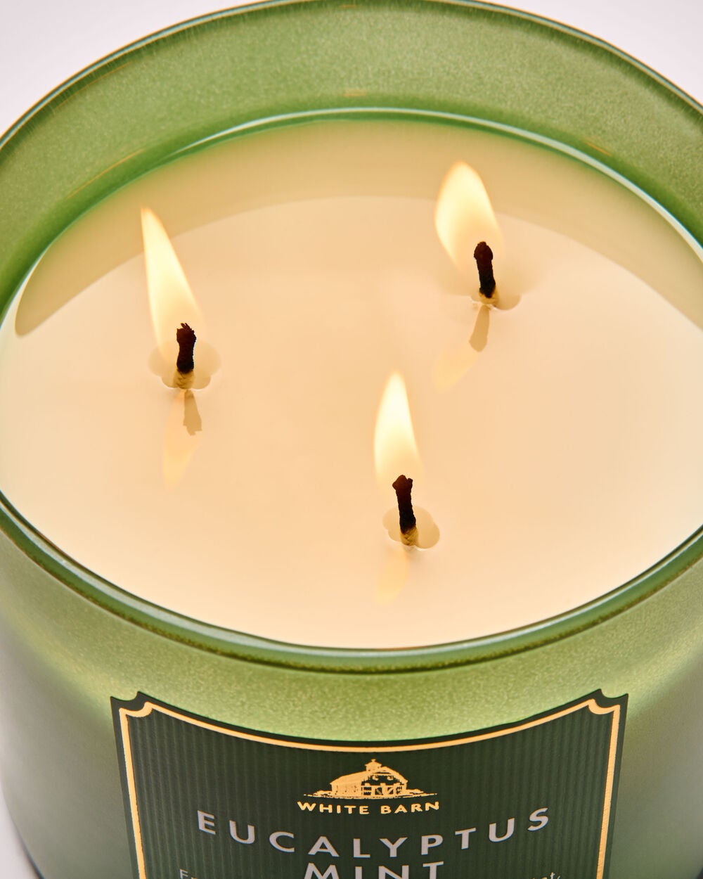 Eucalyptus Mint 3-Wick Candle - Image 5
