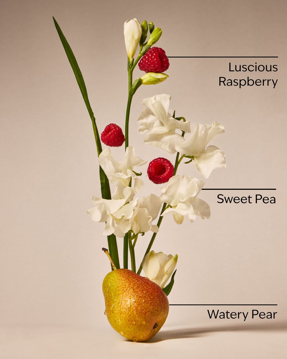 Sweet Pea Wallflowers Refills 2-Pack - Image 3