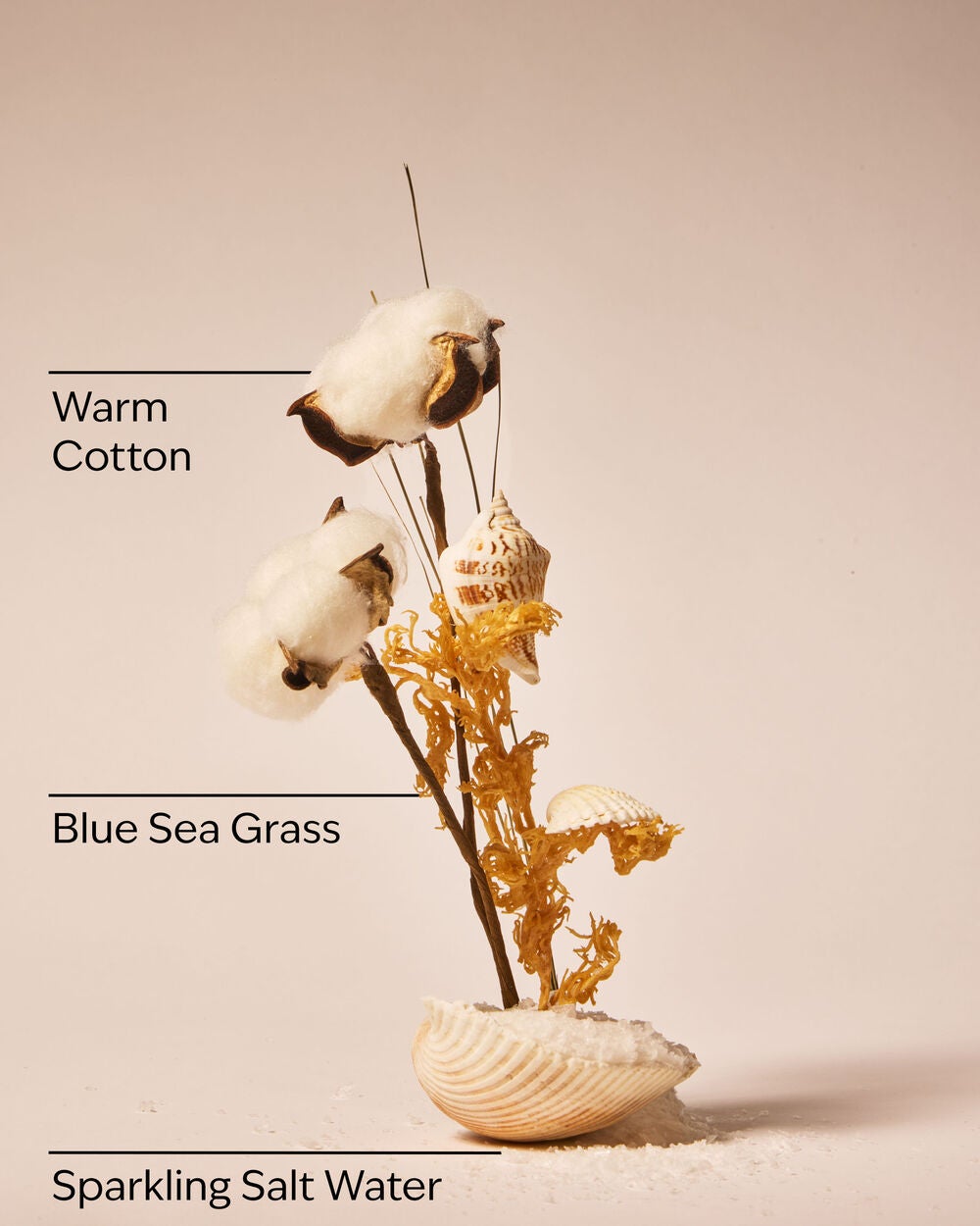 Beach Blanket Wallflowers Fragrance Refill - Image 3