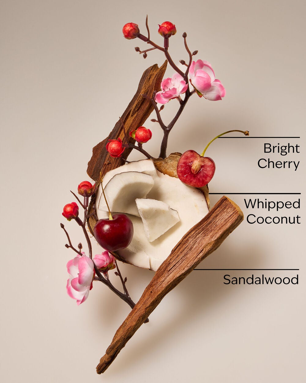 Tropical Cherry Wallflowers Fragrance Refill - Image 3