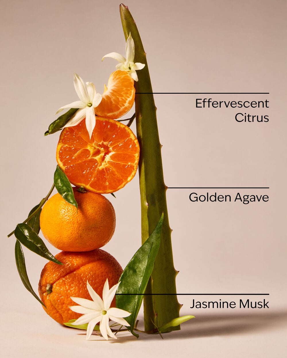 Sweet Orange & Agave Wallflowers Refills 2-Pack - Image 3
