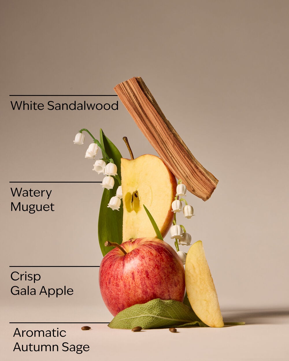 Country Apple Wallflowers Refills 2-Pack - Image 3