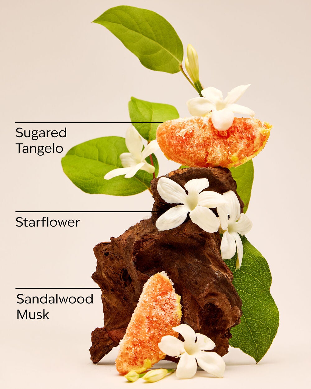 In the Stars Hand Cream - Image 3