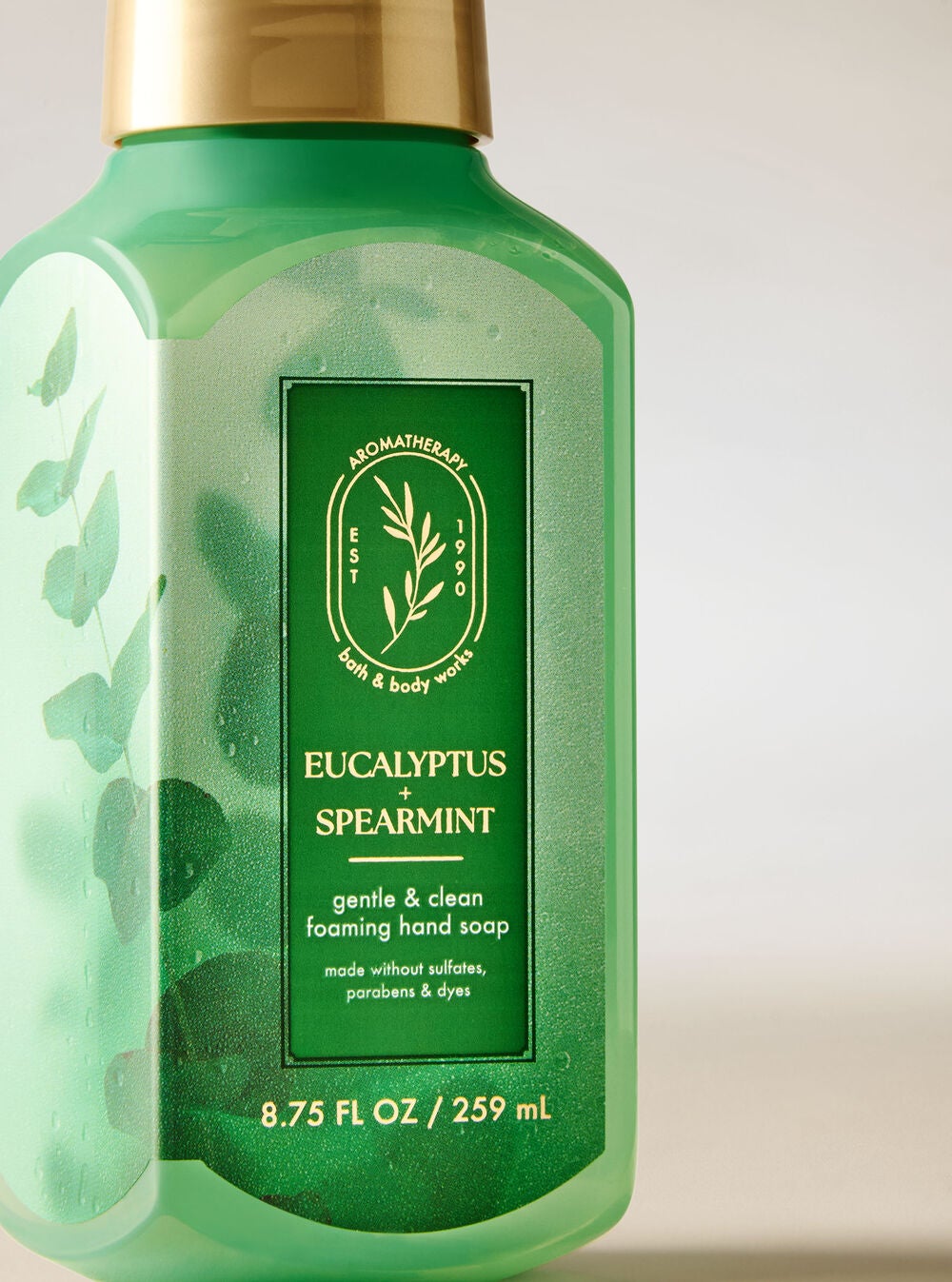 Eucalyptus Spearmint Gentle & Clean Foaming Hand Soap - Image 2