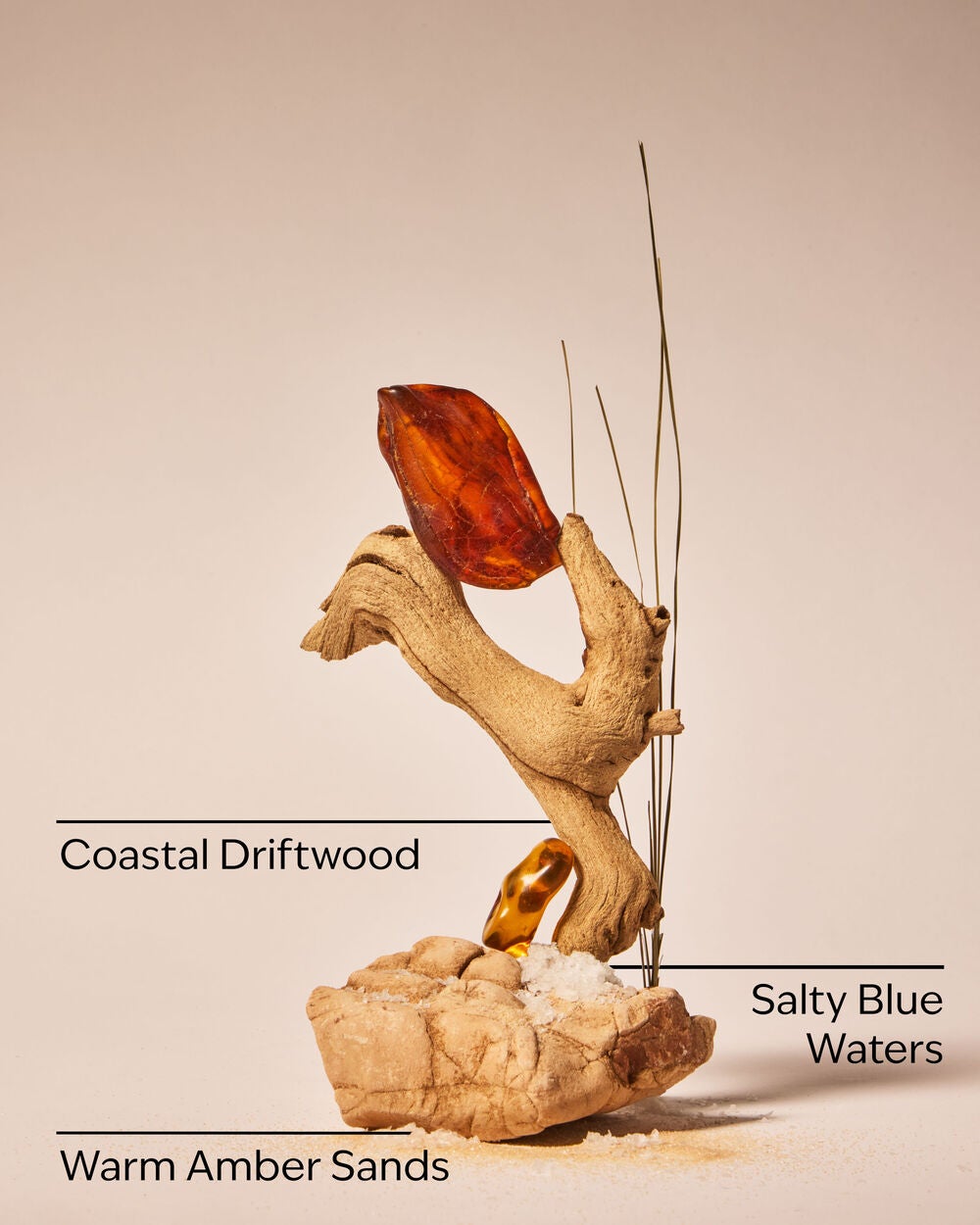 Sandbar Wallflowers Fragrance Refill - Image 3