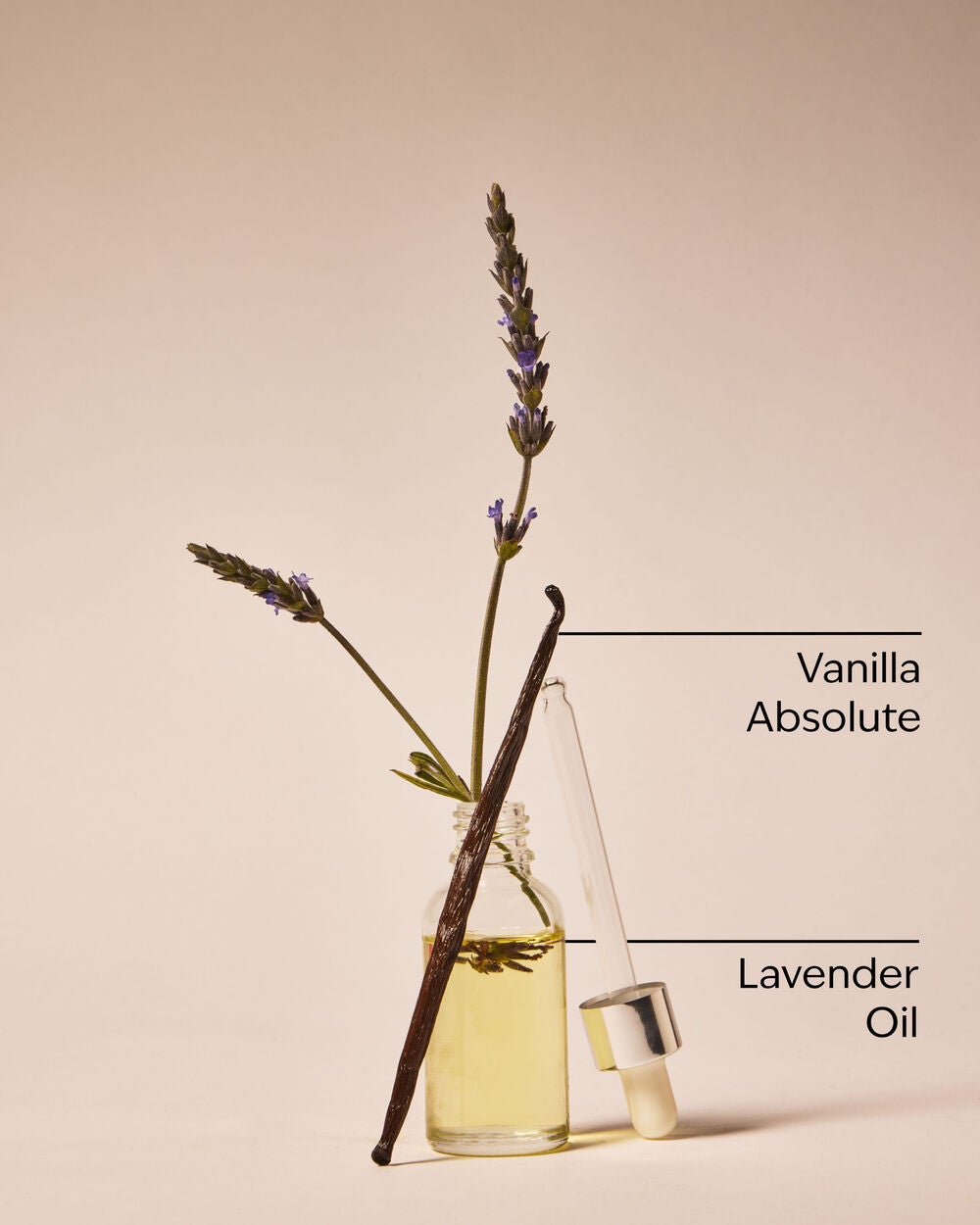 Lavender Vanilla Moisturizing Body Lotion - Image 3
