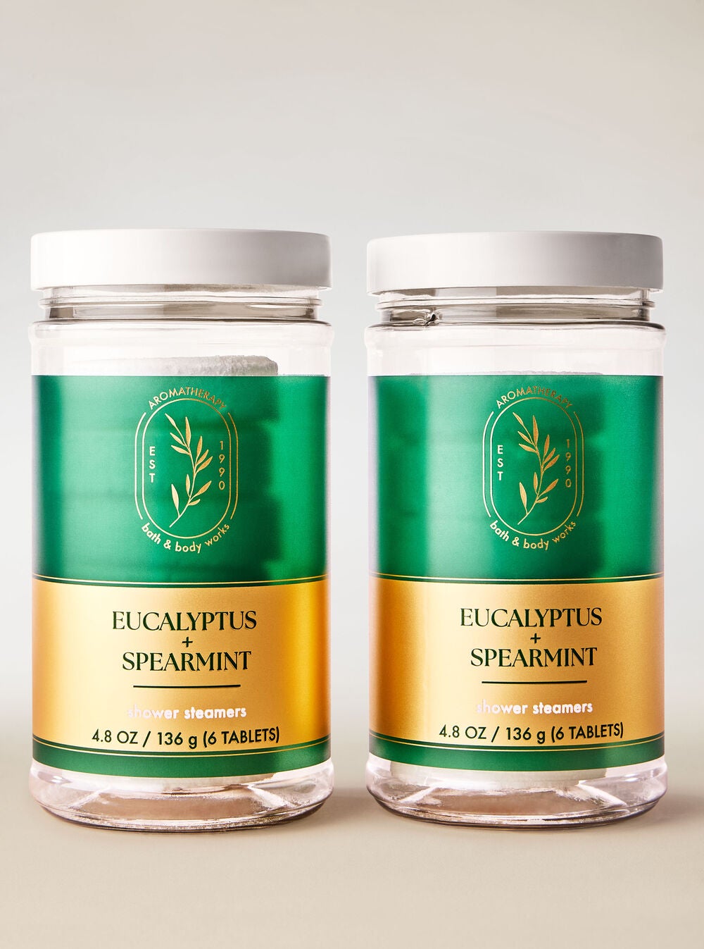 Eucalyptus Spearmint Shower Steamers - Image 2