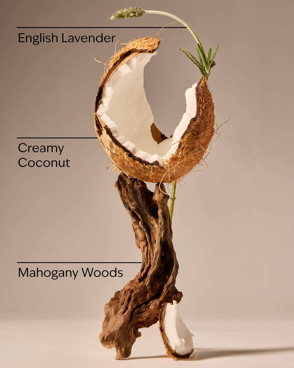 Mahogany Coconut Car Fragrance Refill - Image 3