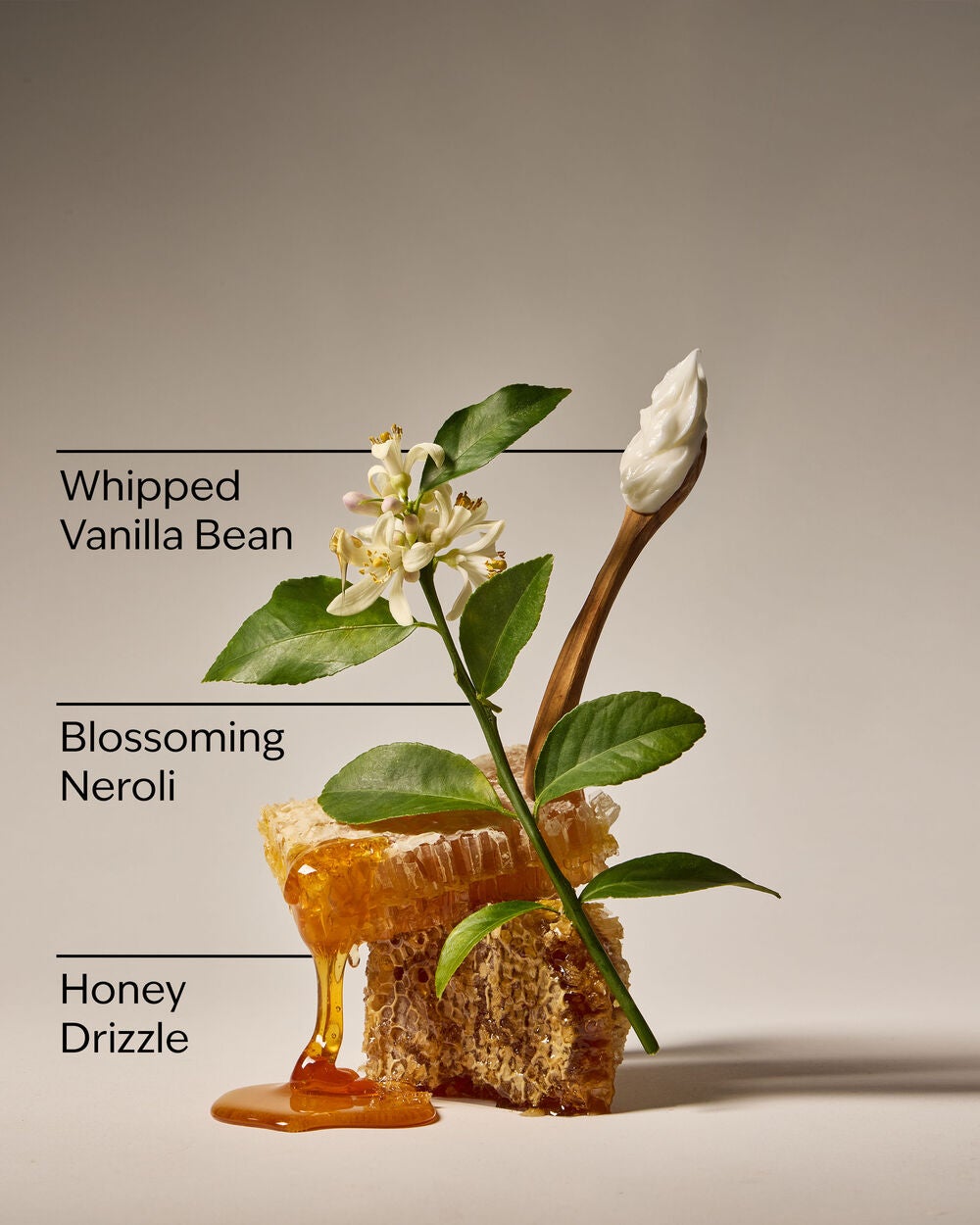 Whipped Honey & Vanilla Hanging Fragrance Diffuser - Image 3