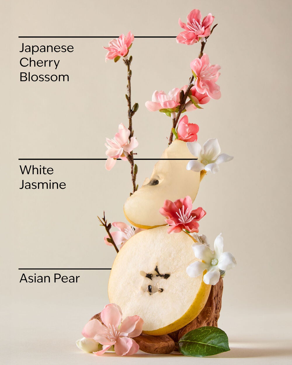 Japanese Cherry Blossom Conditioner - Image 3