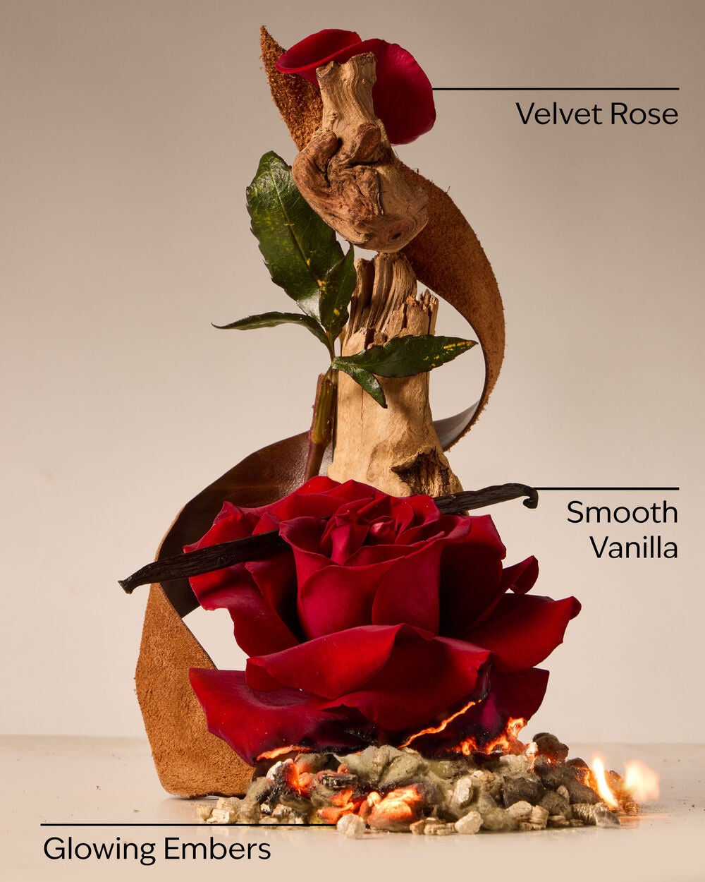 Rosewood & Suede Gentle & Clean Foaming Hand Soap - Image 3