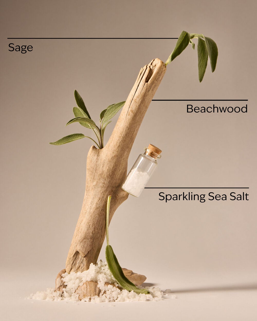 Sea Salt & Beechwood Gentle & Clean Foaming Hand Soap - Image 3