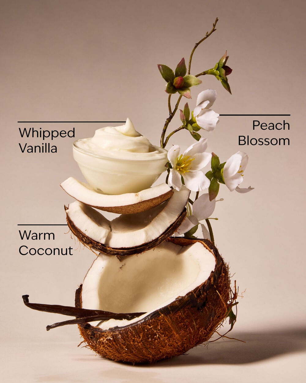 Vanilla Coconut Gentle & Clean Foaming Hand Soap - Image 3