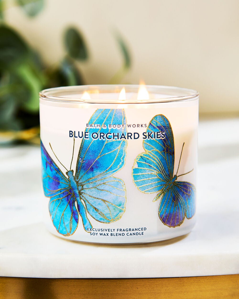 Blue Orchard Skies 3-Wick Candle - Image 6