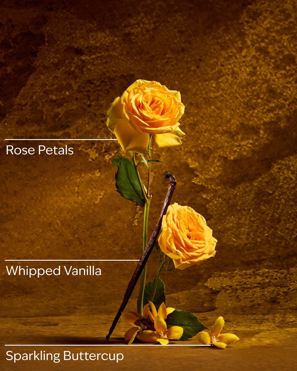 Belle 3-Wick Candle - Image 3