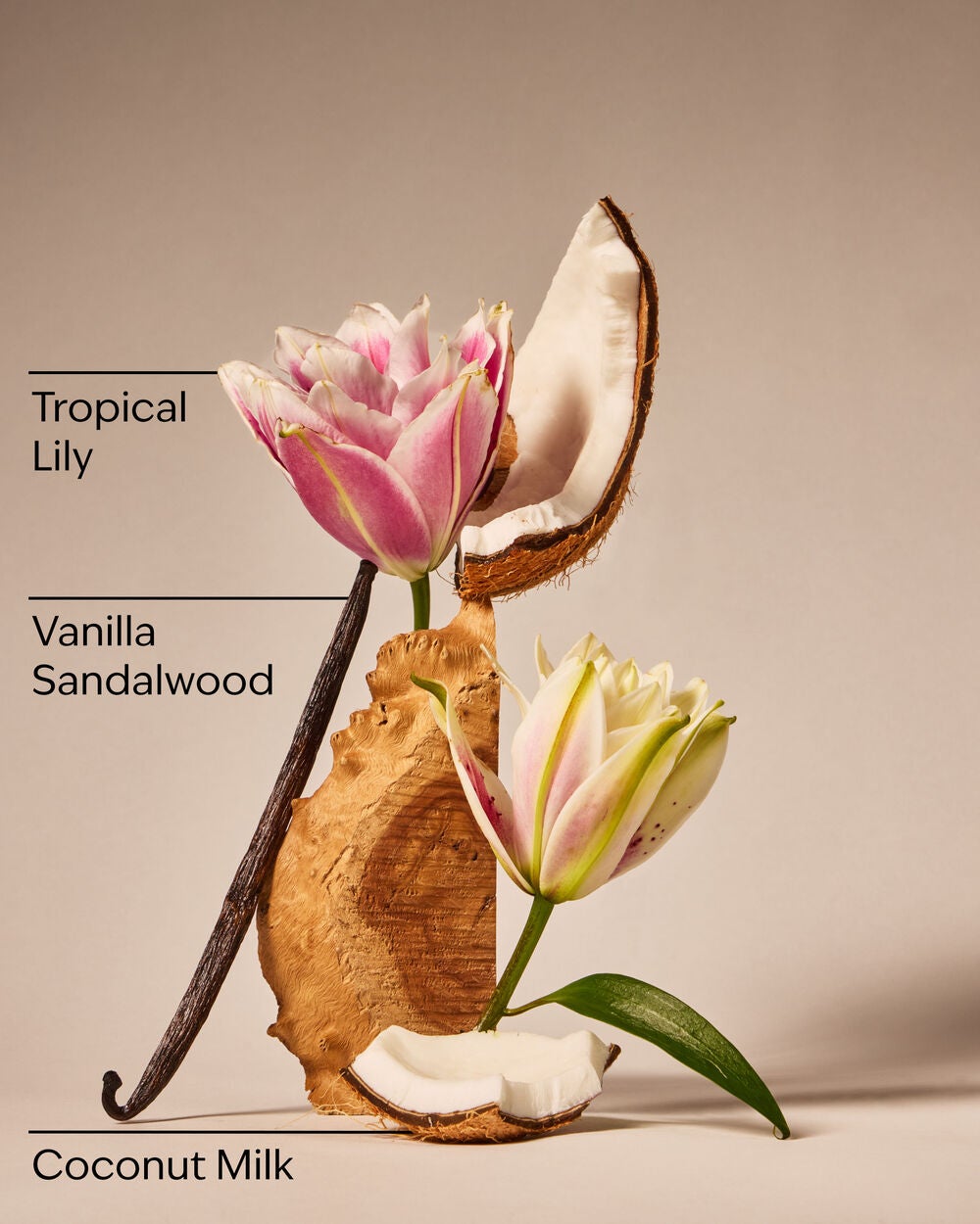 Eau De Coconut Ultimate Hydration Body Cream - Image 3