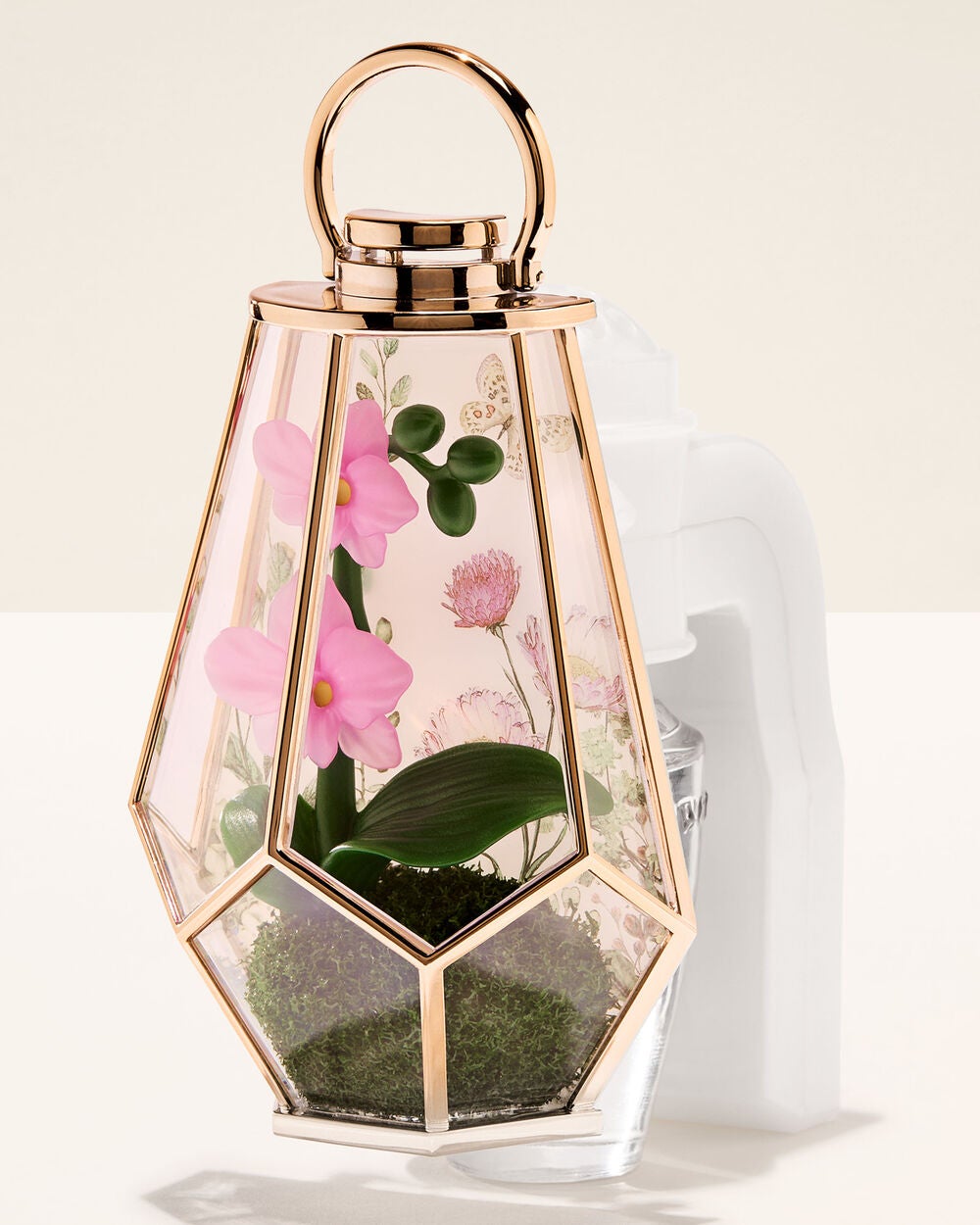 Orchid Terrarium Scent Control? Nightlight Wallflowers Fragrance Plug