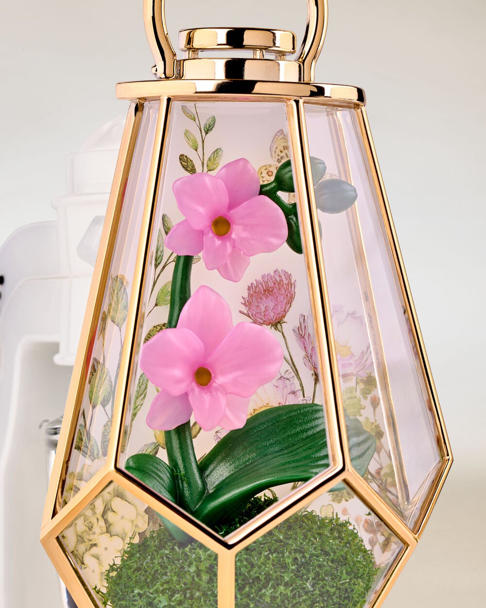 Orchid Terrarium Scent Control? Nightlight Wallflowers Fragrance Plug - Image 3