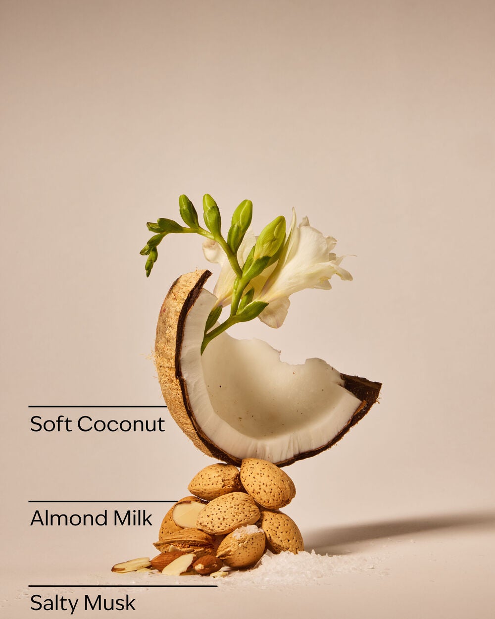 Coconut Linen Dryer Sheets - Image 3