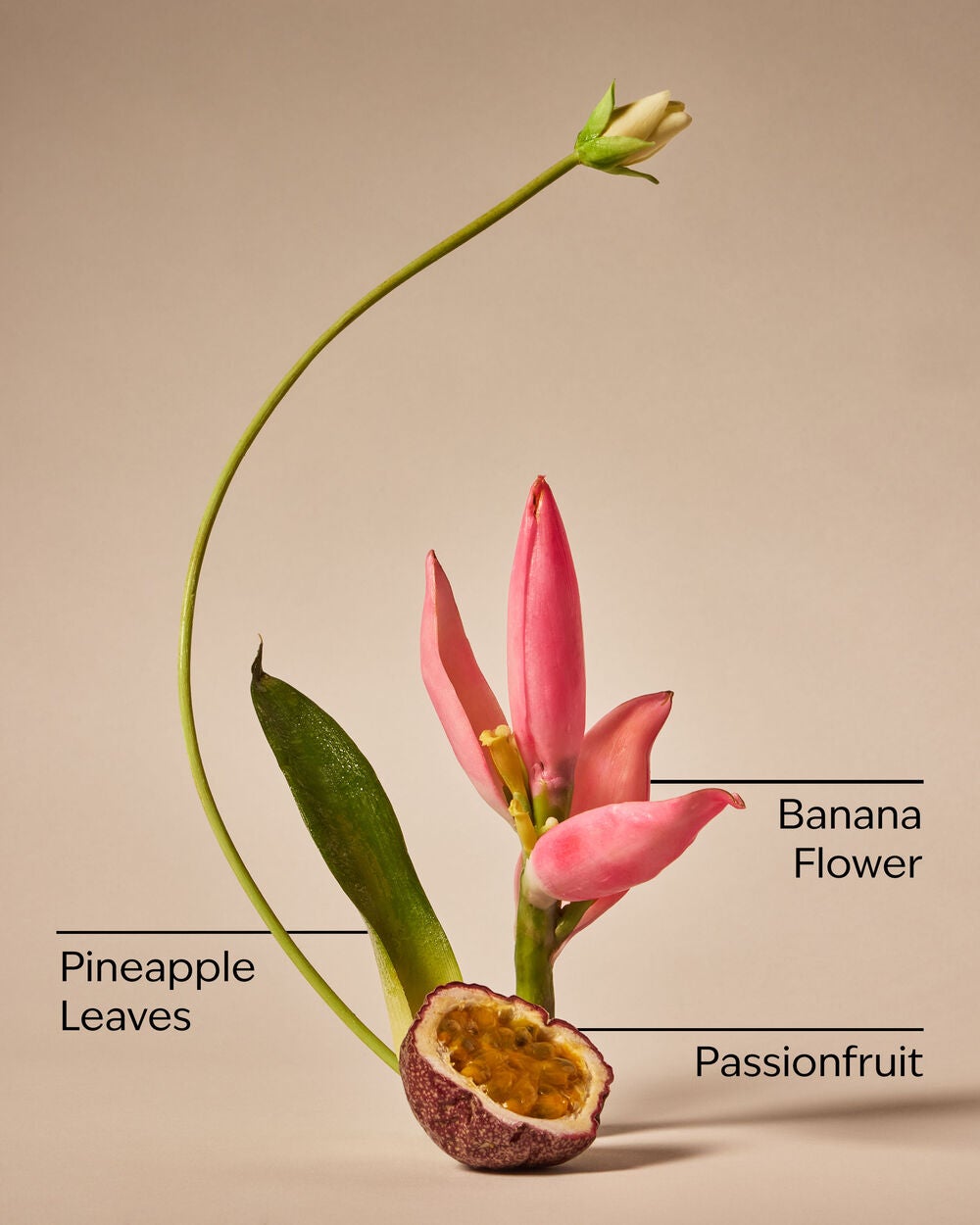Bahamas Passionfruit & Banana Flower Fine Fragrance Mist - Image 3