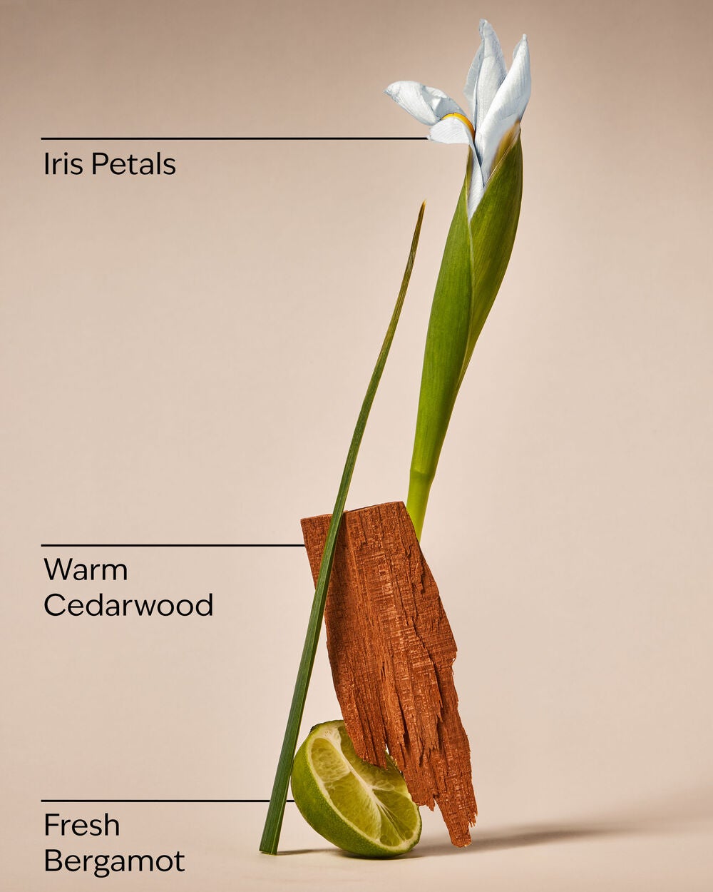 White Iris & Cedarwood Gentle & Clean Foaming Hand Soap - Image 3