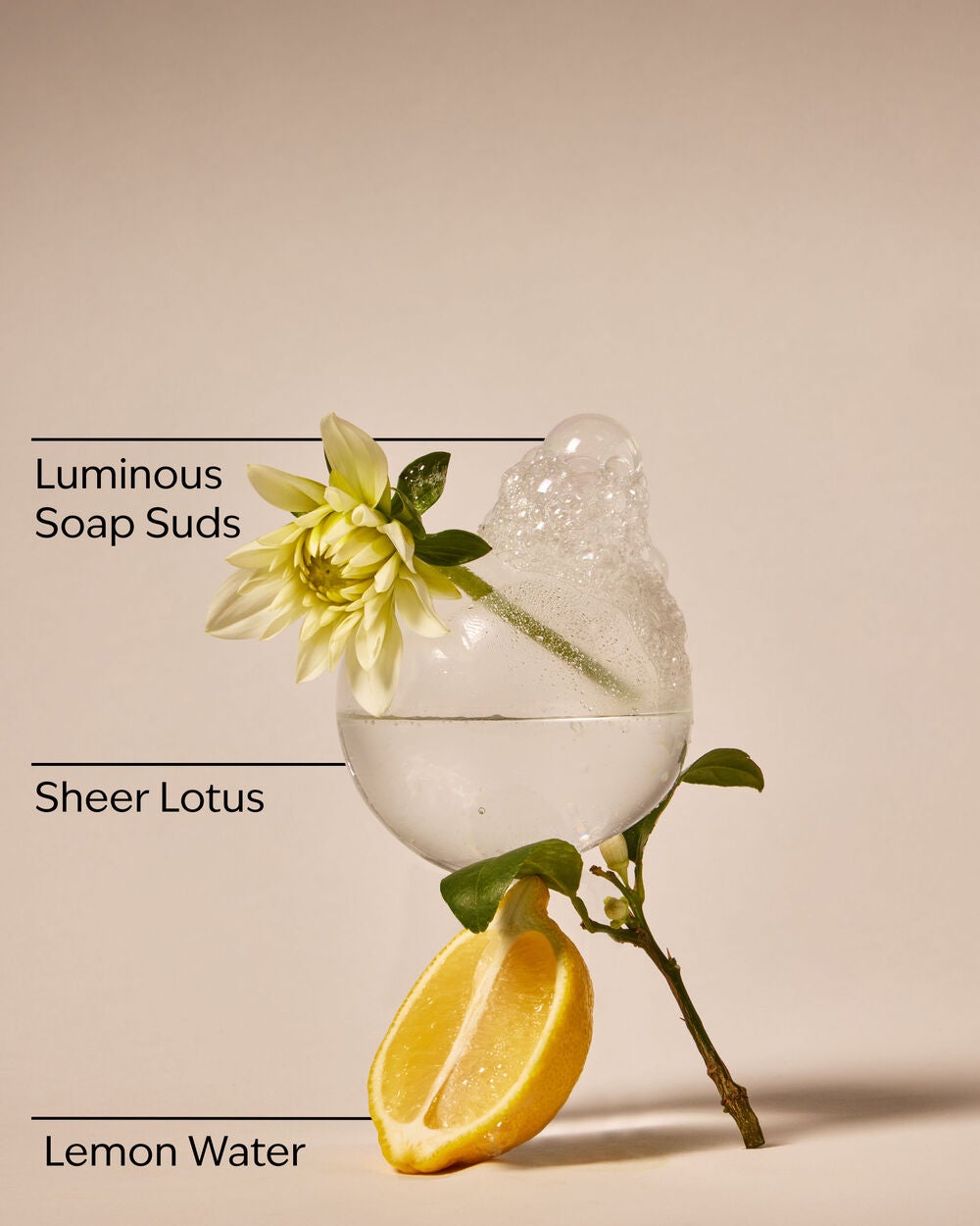 Clean House Vibes - Sparkling Bubbles Wallflowers Refills 2-Pack - Image 3