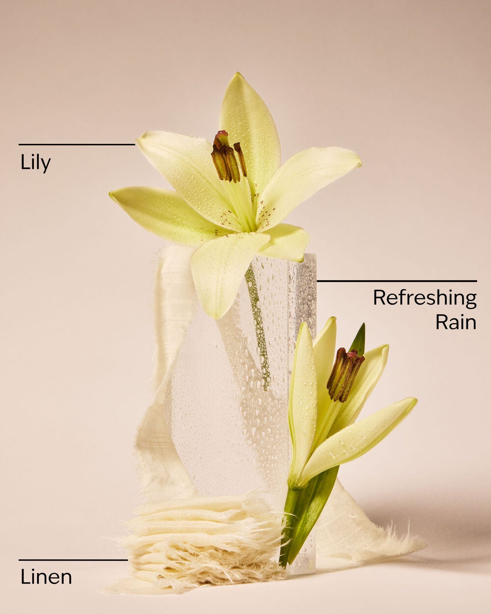 Fresh Rainfall & Linen Wallflowers Refills 2-Pack - Image 3