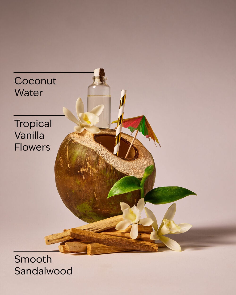Paradise Vanilla Wallflowers Fragrance Refill - Image 3